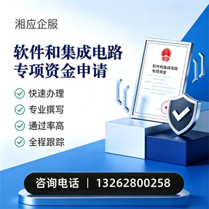 宜春软件和集成电路专项资金申报服务