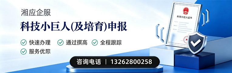宜春科技小巨人及培育企业申报服务