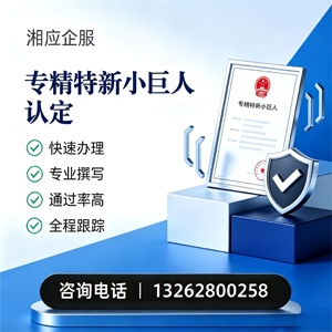 宜春专精特新小巨人申报服务