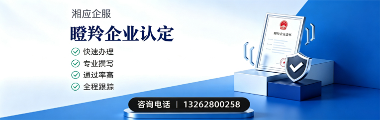 宜春瞪羚企业认定申报服务