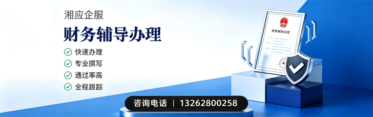 宜春财务辅导申请服务