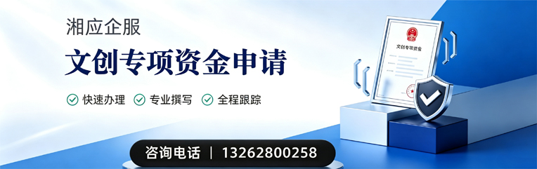 宜春文创专项资金申报服务