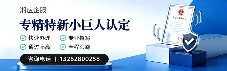 宜春专精特新小巨人申报服务